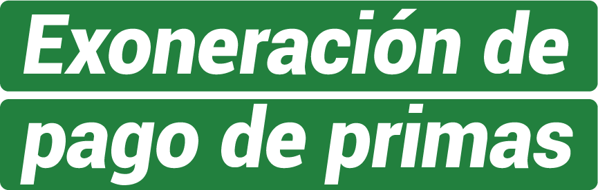 Recurso 199